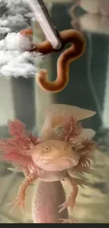 Wallpaper featuring an axolotl underwater with a floating cloud reflection.