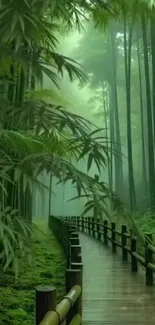 Serene wooden path in a lush bamboo forest.