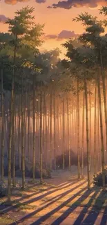 Serene bamboo forest at sunset with warm hues.