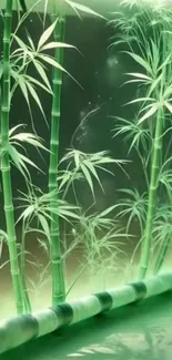 Serene green bamboo forest artistic wallpaper.
