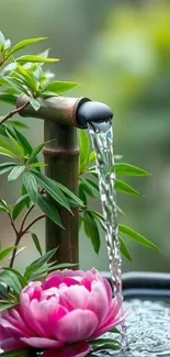 Bamboo fountain with lotus flower and greenery in serene setting.