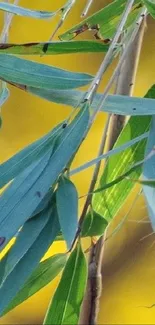 Bamboo leaves with golden yellow background for mobile wallpaper.