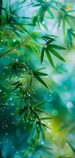 Serene green bamboo with water droplets.