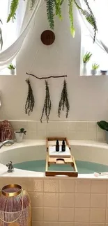 Serene bathtub scene with plants and natural light.