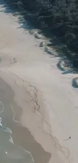 Aerial view of a serene sandy beach with gentle ocean waves.