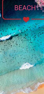 Aerial view of a beach with turquoise waters and dolphins.