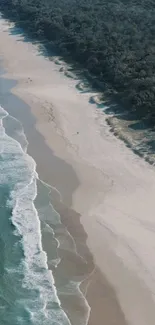 Aerial view of a tranquil beach with gentle ocean waves and sandy shores under bright sky.