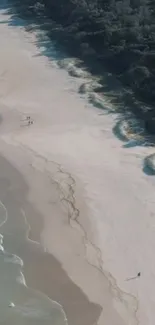 Aerial view of a tranquil beach and waves.