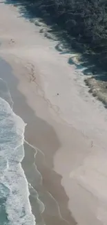 Aerial view of a serene beach with waves and forest.