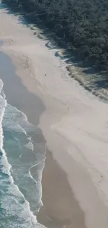 Aerial view of a serene beach with waves and greenery.