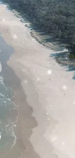 Aerial view of a serene beach with gentle waves and lush forest backdrop.