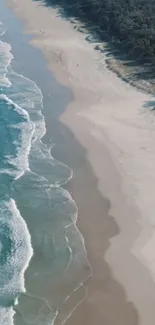 Aerial view of a tranquil beach with turquoise waves and sandy shores.