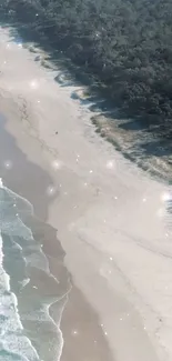 Aerial view of a serene beach with waves and sandy shores.