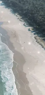 Aerial view of a beach with ocean waves and lush forest.