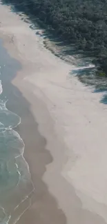 Aerial view of a sandy beach with gentle waves and forest backdrop.