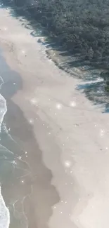 Aerial view of a serene beach with shimmering waves and lush forest.