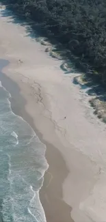 Aerial view of a tranquil beach with turquoise waves and lush green forest.