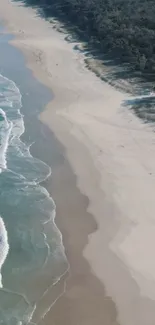 Aerial view of a serene beach with azure waters and sandy shoreline.