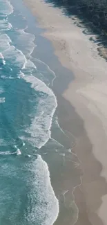 Aerial view of a serene beach with blue waves and sandy shore.