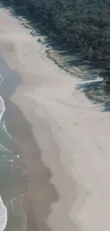 Aerial view of a serene beach with ocean waves and lush greenery.