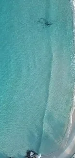 Aerial view of a tranquil beach with turquoise waters and sandy shore.