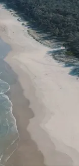 Aerial view of serene beach and ocean waves for phone wallpaper.