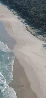 Aerial view of serene beach with ocean waves and forest.