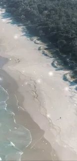 Aerial view of a serene beach with sparkling ocean waves and lush green forest.