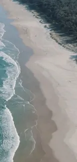 Aerial view of a serene beach with turquoise waves and sandy shore.