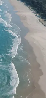 Aerial view of a serene beach with turquoise waves and sandy shores.