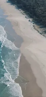 Aerial view of serene beach with waves and pristine sand.