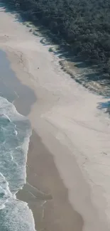 Aerial view of a tranquil beach with white sands and lush forest.