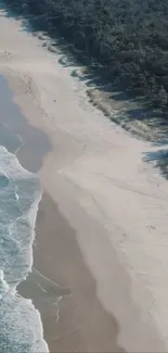 Aerial view of a serene beach with waves crashing and lush green backdrop.