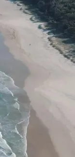 Aerial view of a serene sandy beach and gentle ocean waves.