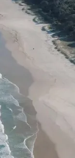 Aerial view of a serene sandy beach with ocean waves and lush greenery.