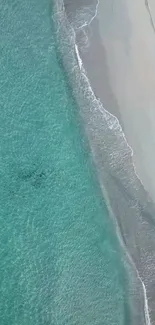 Aerial view of a tranquil beach with turquoise water and sandy shore.