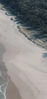 Aerial view of tranquil beach with waves and lush forest.