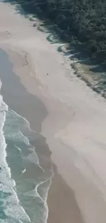 Aerial view of a serene beach with waves and lush greenery.