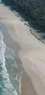 Aerial view of serene beach with waves and sandy shore.