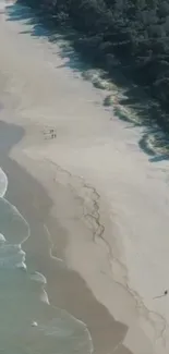 Aerial view of a serene beach with waves and greenery.