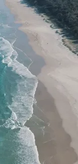 Aerial view of a serene beach with blue waves and sandy shore.