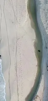 Aerial view of tranquil beach with serene ocean and sandy shorelines.