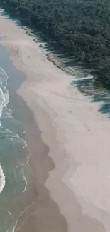 Aerial view of a serene beach with lush forest and gentle ocean waves.