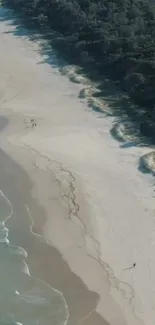 Aerial view of a serene beach with waves and greenery.