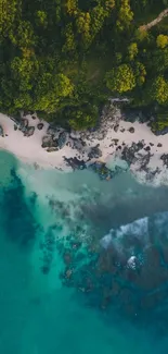 Aerial view of lush greenery meeting a turquoise beach.