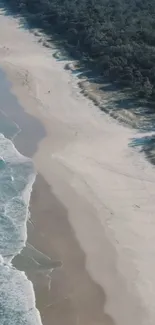 Aerial view of a serene beach with calm waves and sandy shore.