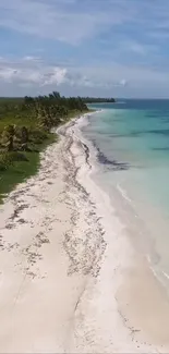 Aerial view of a serene beach with turquoise waters and clean sandy shores.