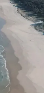 Aerial view of a serene beach with waves and sand.