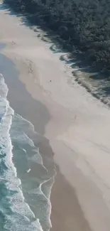 Aerial view of a serene beach with turquoise waves and a lush forest backdrop.