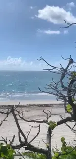 Serene beach with ocean waves and blue sky, framed by foliage and branches.